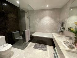 St. Regis Residences (D10), Apartment #507675431
